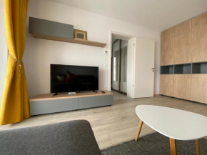 ALENI Apartments Brasov 1